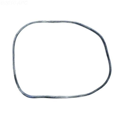 Pentair 24850 - 0009Z System 3 Filter Tank 25" O - Ring – Vita Pool Supply