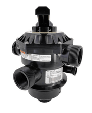 Pentair 262506 1.5" Multiport Valve for Tagelus Top - Mount Sand Filters – Vita Pool Supply
