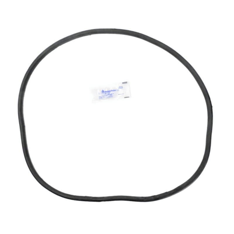 Pentair 27001 - 0061S Tank Body O - Ring for PLD, PLDE and PLM Filter Systems 270010061S – Vita Pool Supply