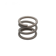 Pentair 271161Z Valve Spring – Vita Pool Supply