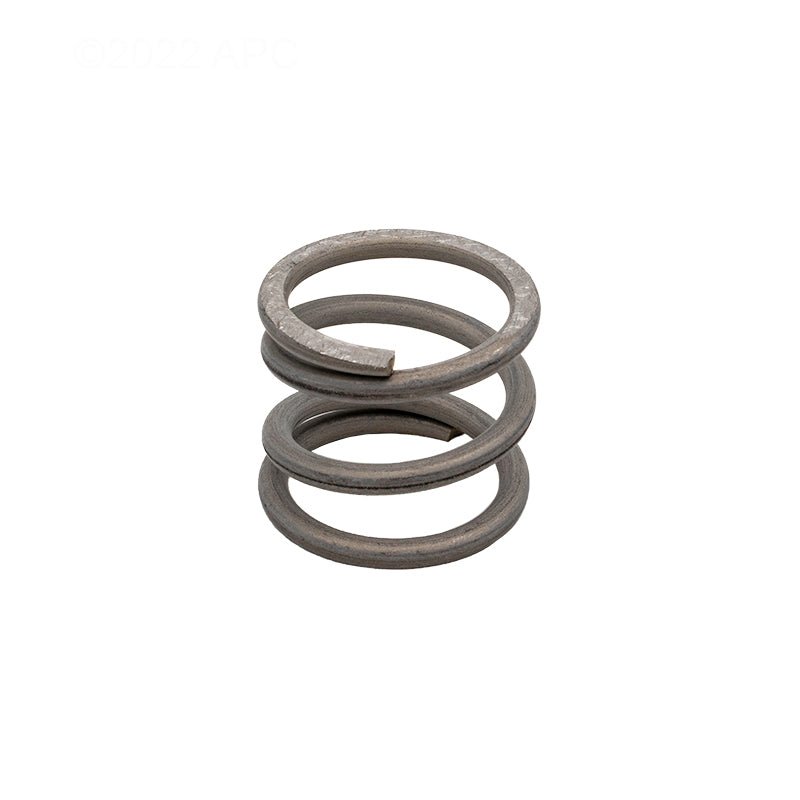 Pentair 271161Z Valve Spring – Vita Pool Supply