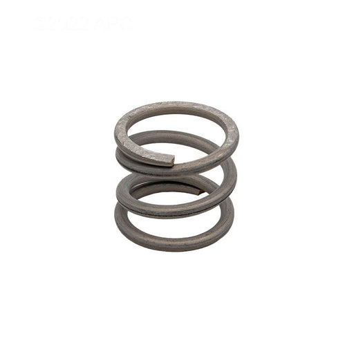Pentair 271161Z Valve Spring – Vita Pool Supply