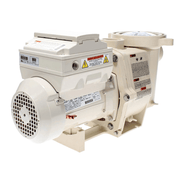 Pentair 3 HP IntelliFlo® VS+SVRS Variable Speed Pump (EC - 011057) – Vita Pool Supply