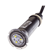 Pentair 30' Cord GloBrite® Multi - Color LED Light 602053 - NEW VERSION – Vita Pool Supply