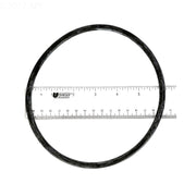 Pentair 350013Z Pump Trap Lid O - Ring – Vita Pool Supply
