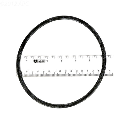 Pentair 350013Z Pump Trap Lid O - Ring – Vita Pool Supply