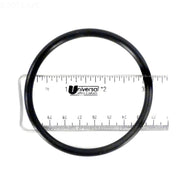 Pentair 350336Z XF Pump Diffuser O - Ring – Vita Pool Supply