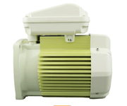 Pentair 354803S .75HP 1 Ph 115/208 - 230V 1 Speed 56Y TEFC Square Flange Pump Motor