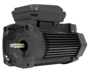 Pentair 354804S .75HP 1 - Speed Black Square Flange 56Y TEFC Motor 1 Ph 115/208 - 230V – Vita Pool Supply