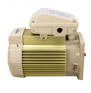 Pentair 354815S 2.0 HP TEFC Motor 1 Ph 208 - 230V 56Y for SuperFlo & WhisperFlo Pumps – Vita Pool Supply