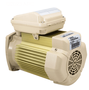 Pentair 354815S 2.0 HP TEFC Motor 1 Ph 208 - 230V 56Y for SuperFlo & WhisperFlo Pumps – Vita Pool Supply