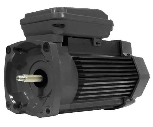 Pentair 354820S 5HP 1 Ph 208 - 230V 56Y TEFC Square Flange Pump Motor Black MAX - E - PROXF – Vita Pool Supply