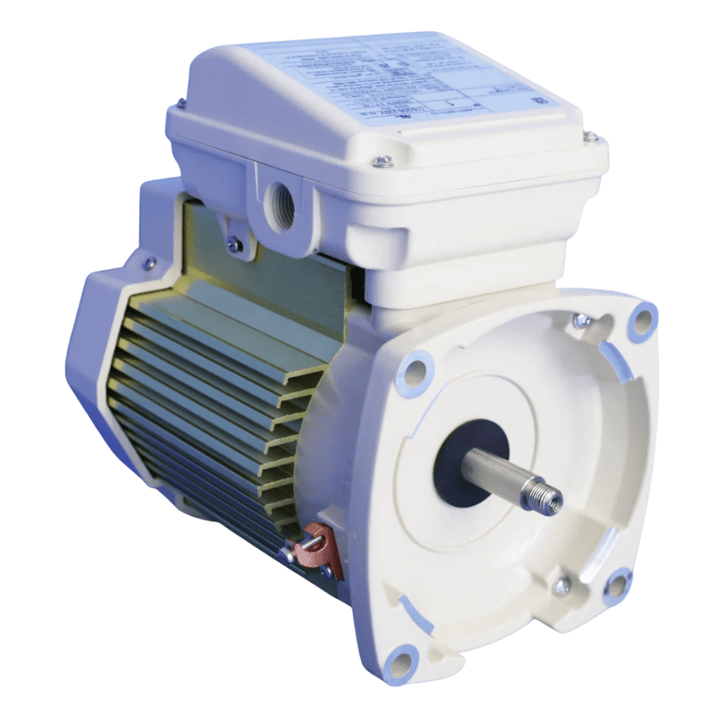 Pentair 354821S 1.0 HP TEFC Motor 1 Ph 115/208 - 230V for SuperFlo & WhisperFlo Pumps – Vita Pool Supply
