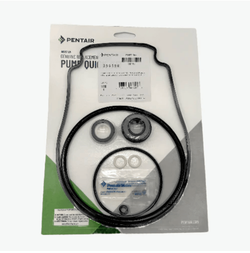 Pentair 356198 WhisperFlo/IntelliFlo Quick Kit Replacement Pump Repair Kit – Vita Pool Supply