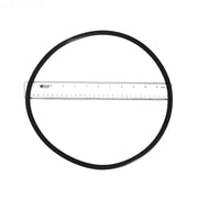 Pentair 356780Z Seal Plate O - Ring 3/8X11 – Vita Pool Supply