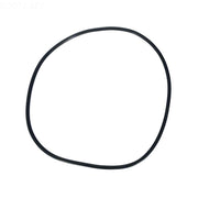 Pentair 39010200Z Clean & Clear Plus and FNS Tank O - Ring – Vita Pool Supply