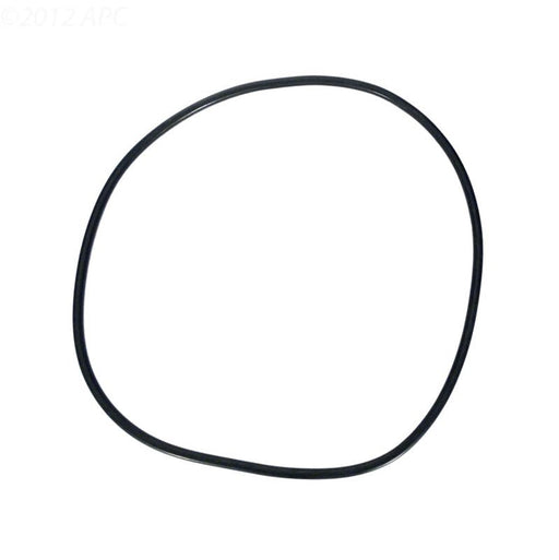 Pentair 39010200Z Clean & Clear Plus and FNS Tank O - Ring – Vita Pool Supply