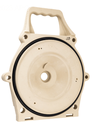 Pentair 400031Z Seal Plate with Seal – Vita Pool Supply