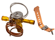 Pentair 474327Z Thermostatic Expasion Valve – Vita Pool Supply