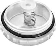 Pentair 506162Z Bermuda Equalizer Valve – Vita Pool Supply