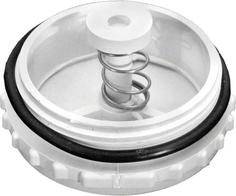 Pentair 506162Z Bermuda Equalizer Valve – Vita Pool Supply