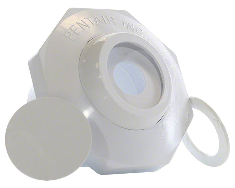 Pentair 542002 1.5" Slip Inlet Economy Insider White – Vita Pool Supply