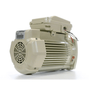 Pentair 5HP TEFC Motor for WhisperFloXF® Pump 3Ph 208 - 230/460V Almond 354813S – Vita Pool Supply