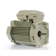 Pentair 5HP TEFC Motor for WhisperFloXF® Pump 3Ph 208 - 230/460V Almond 354813S – Vita Pool Supply