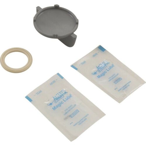 Pentair 620057 GloBrite O - Ring Kit – Vita Pool Supply