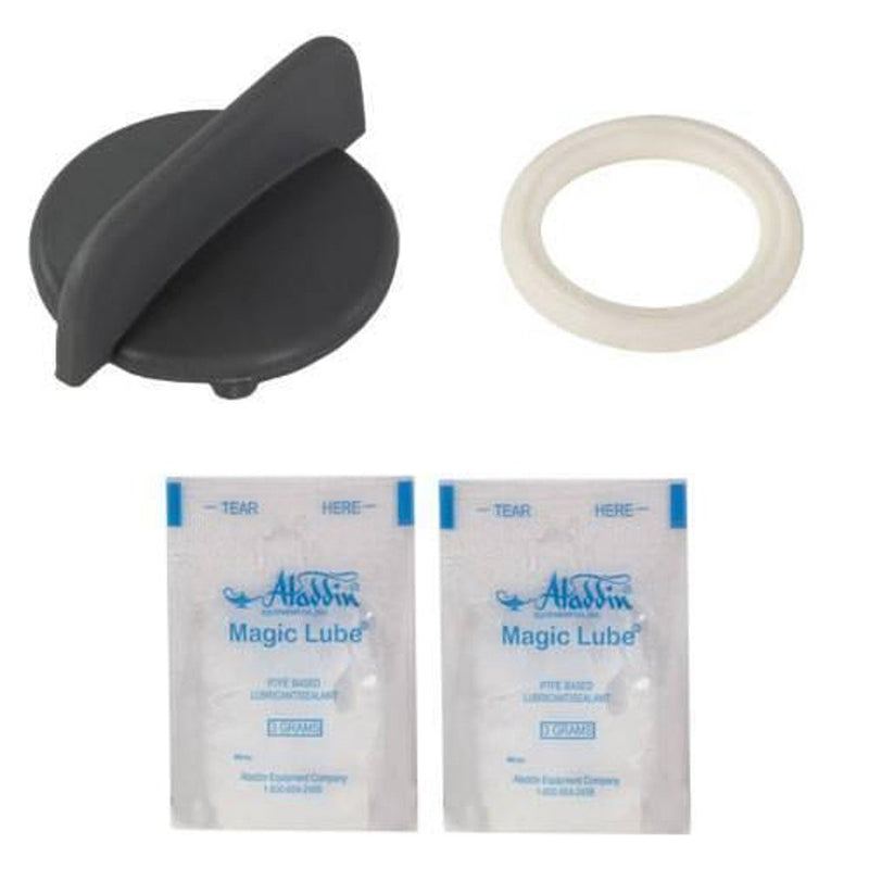 Pentair 620057 GloBrite O - Ring Kit – Vita Pool Supply