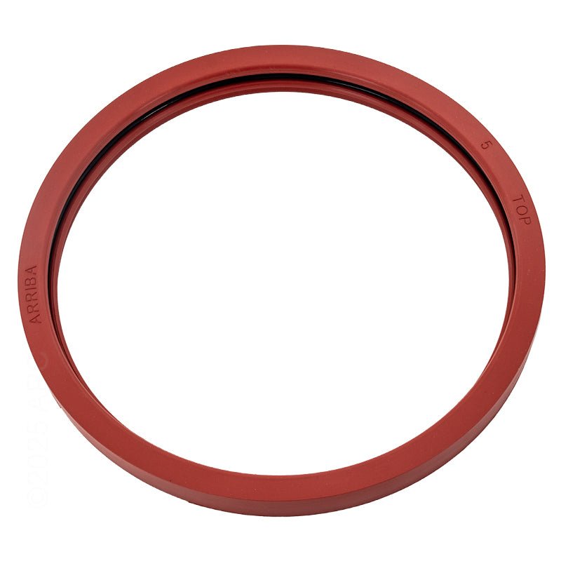 Pentair 620400Z Kit Lens Gasket – Vita Pool Supply