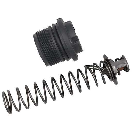 Pentair 77707 - 0010 Thermal Regulator Kit – Vita Pool Supply