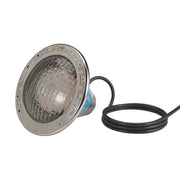 Pentair 78949100 Amerlite White Incandescent Light 120V 400W, 100' Cable – Vita Pool Supply