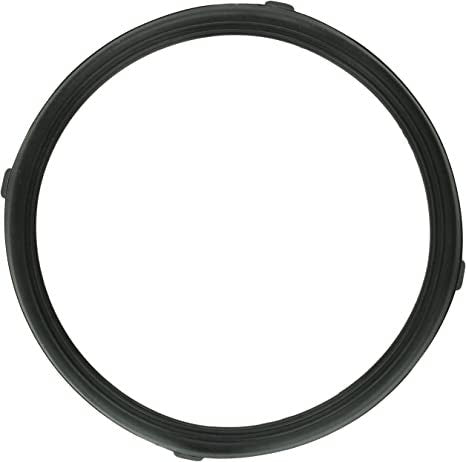 Pentair Aqualumin Lens Gasket, 619599Z – Vita Pool Supply