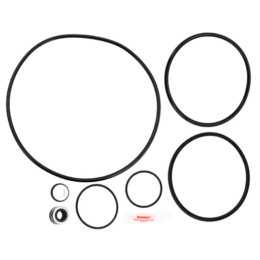 Pentair Challenger CHII Series Pump Repair Kit – Vita Pool Supply