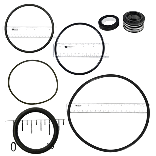 Pentair EQ Pump Repair Kit Gasket O - Ring Set GOKIT100C – Vita Pool Supply