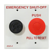 Pentair ESO2 Double Gang Plate Shut - Off Switch with Alarm for ComPool Pool and Spa – Vita Pool Supply