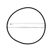 Pentair O - ring for C Series® Model C - 18 Pump, 071433 – Vita Pool Supply
