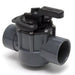 Pentair Pool Diverter & Check Valves 1-1/2 in. & 2 in.