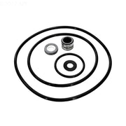 Pentair PP3000 Dyna Glas Seal Kit – Vita Pool Supply
