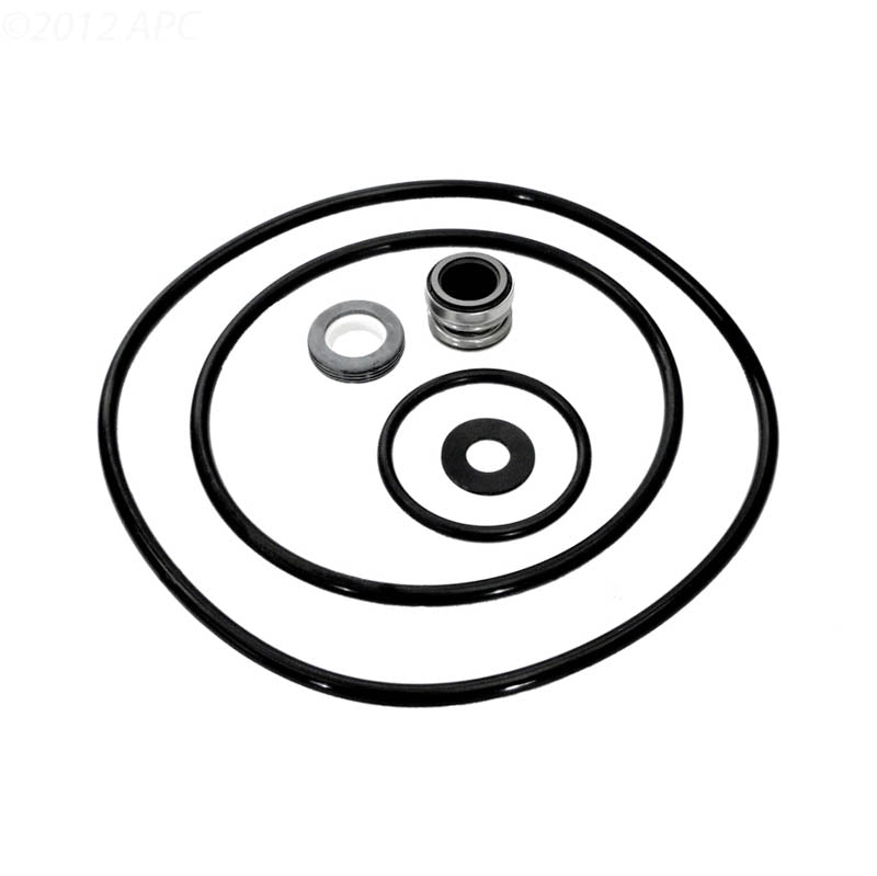 Pentair PP3000 Dyna Glas Seal Kit – Vita Pool Supply