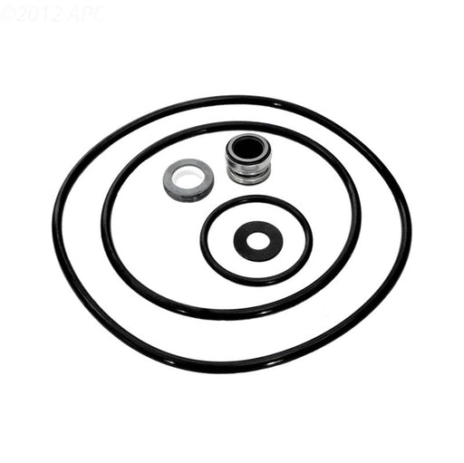 Pentair PP3000 Dyna Glas Seal Kit – Vita Pool Supply