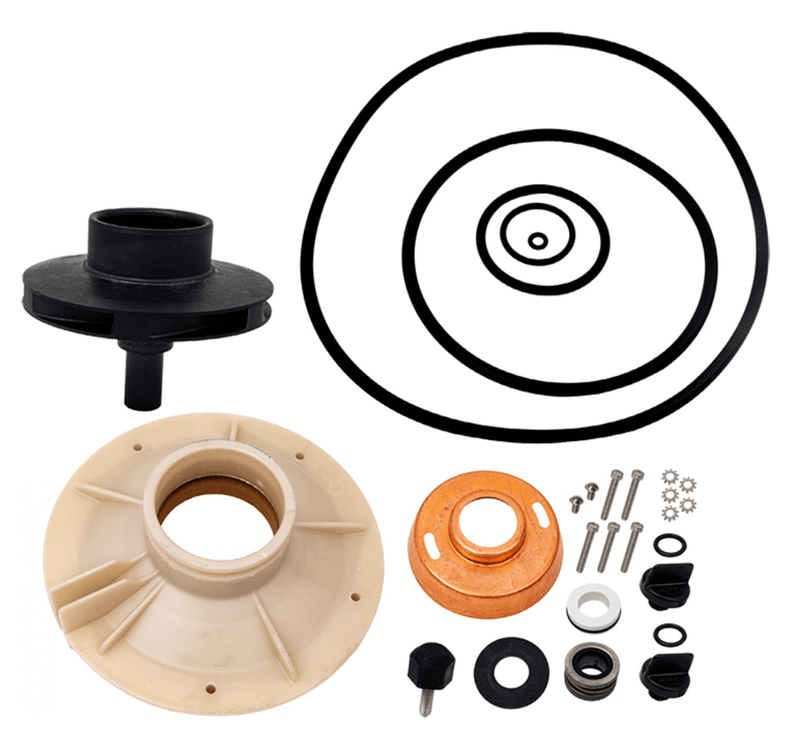 Pentair PP4013 Parts - Paks Seal/Gasket Overhaul Kit for 2.5HP Up - Rated/2.0HP Full - Rated Pump – Vita Pool Supply