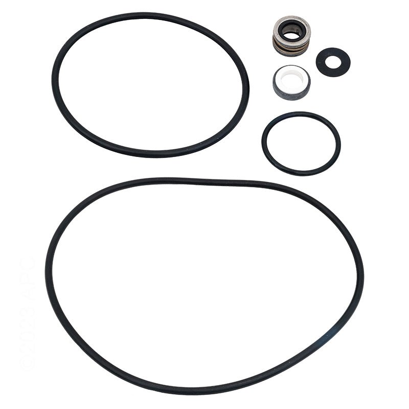 Pentair PP4200 Parts Pak Seal/O - Ring Kt – Vita Pool Supply