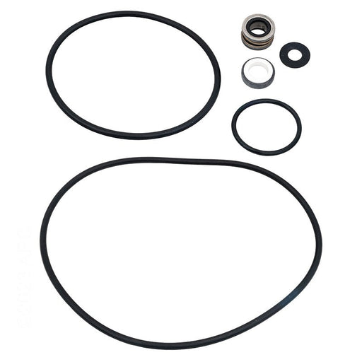 Pentair PP4200 Parts Pak Seal/O - Ring Kt – Vita Pool Supply
