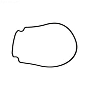 Pentair Pump Seal Plate Gasket, 357100Z – Vita Pool Supply