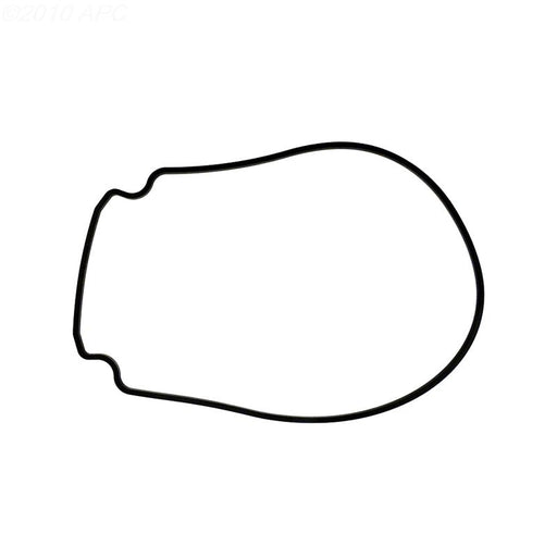 Pentair Pump Seal Plate Gasket, 357100Z – Vita Pool Supply