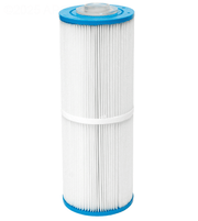 Pentair R172653 186 Leaf Trap 25 Sq Ft Cartridge with Plug – Vita Pool Supply