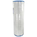 Pentair R173217 200 Sq Ft Clean and Clear Replacement Cartridge Element-Vita Filters