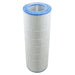 Pentair R173217 200 Sq Ft Clean and Clear Replacement Cartridge Element-Vita Filters